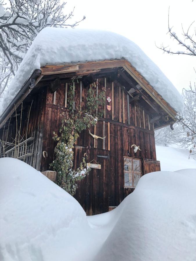 Le Pika Bed and Breakfast Hauteluce Exteriör bild